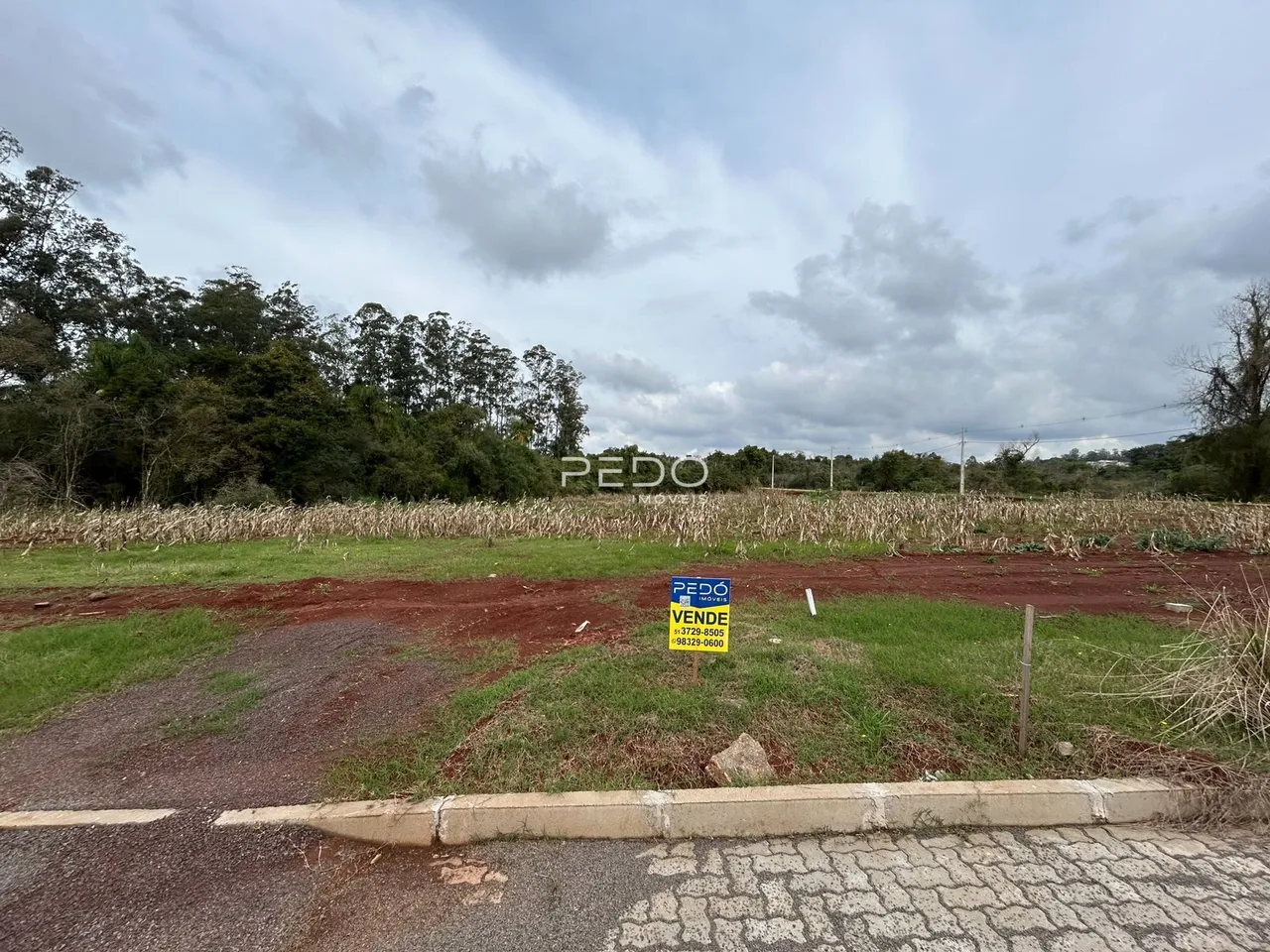 Vista de uma área rural com vegetação e estrada de terra.