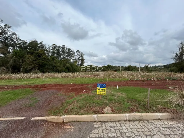 Vista de uma área rural com vegetação e estrada de terra.