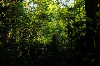 Área rural, foto 15