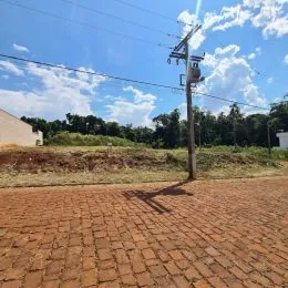 Vista externa de uma área pavimentada com vegetação seca e um poste de eletricidade.
