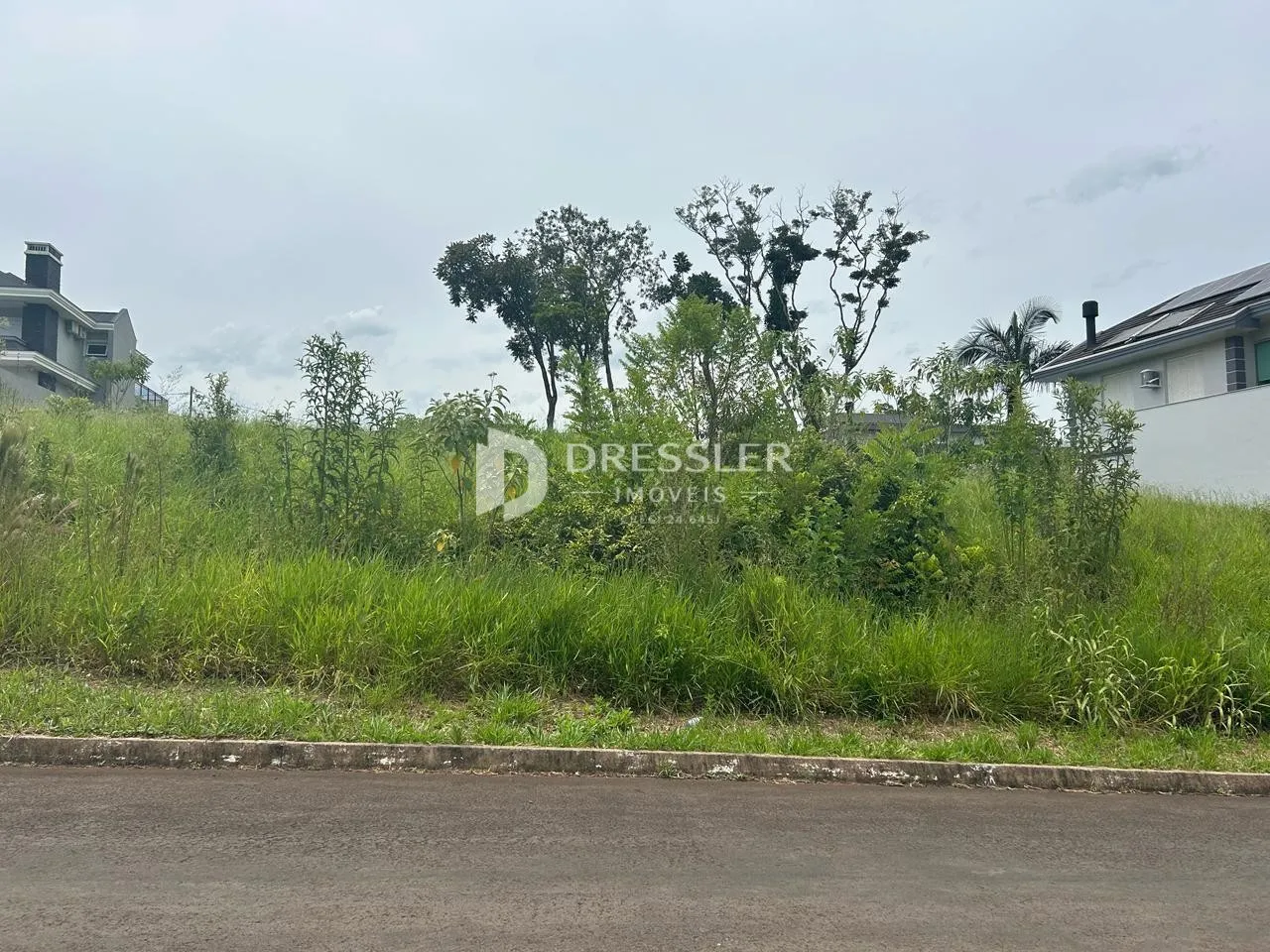Vista externa de uma propriedade com vegetação densa no primeiro plano.