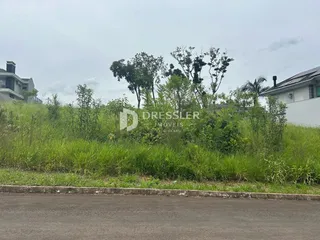 Vista externa de uma propriedade com vegetação densa no primeiro plano.