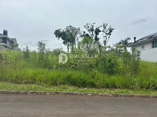 Vista externa de uma propriedade com vegetação densa no primeiro plano.