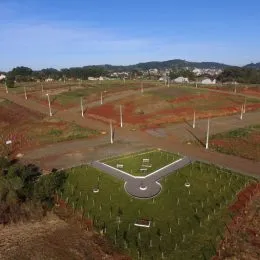 Vista de um campo aberto com vegetação seca e árvores.