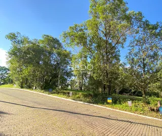 Vista da paisagem exterior de uma propriedade com árvores e uma estrada pavimentada.