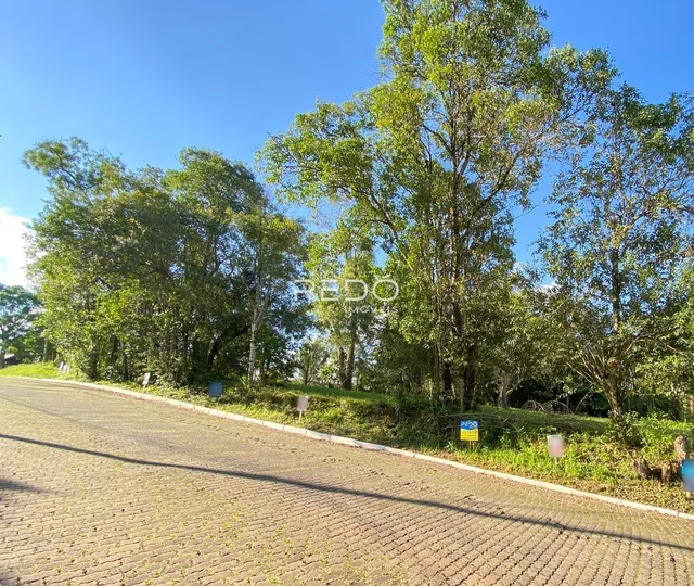 Terreno, foto 2