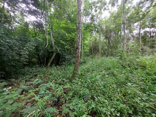 Área rural, foto 6