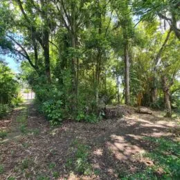 Terreno, foto 3