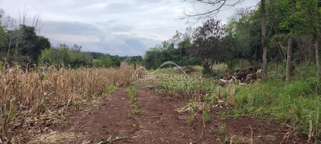 Área rural, foto 4
