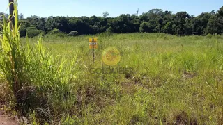 Terreno, foto 7