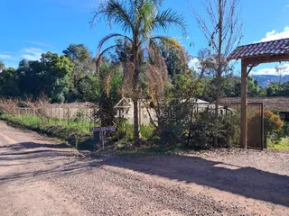 Área rural com 4 dormitórios, foto 4