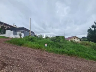 Vista externa da propriedade com vegetação e estrada de terra.