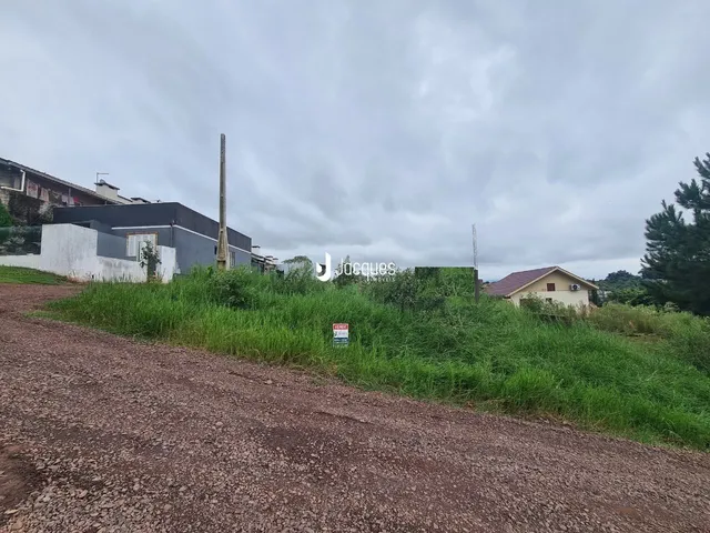 Vista externa da propriedade com vegetação e estrada de terra.