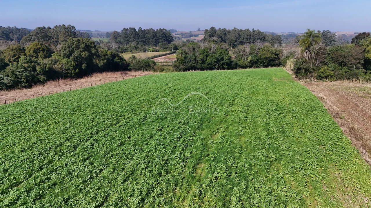 Vista panorâmica de um campo verde com vegetação ao fundo.