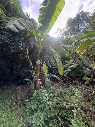 Área rural com 2 dormitórios, foto 20