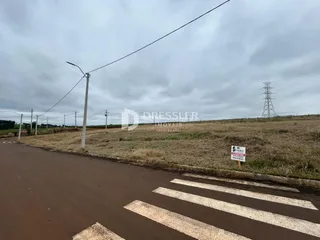 Uma estrada asfaltada atravessa um campo gramado sob um céu nublado.