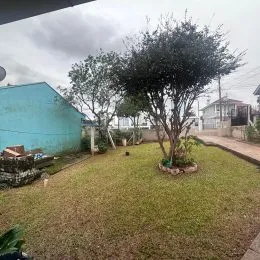 Vista externa de um gramado com árvores em uma propriedade.