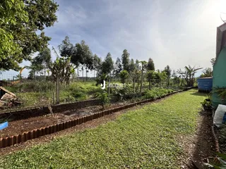Vista externa de um terreno com gramado e vegetação ao longo de uma cerca.