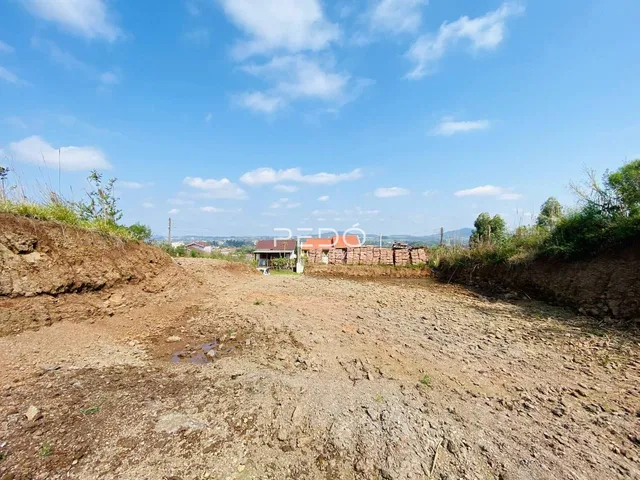 Terreno, foto 4