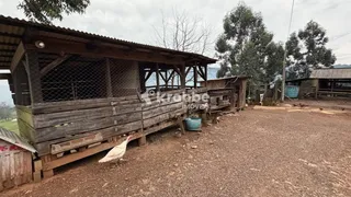 Terreno, foto 16