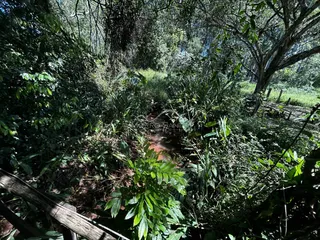Área rural, foto 3