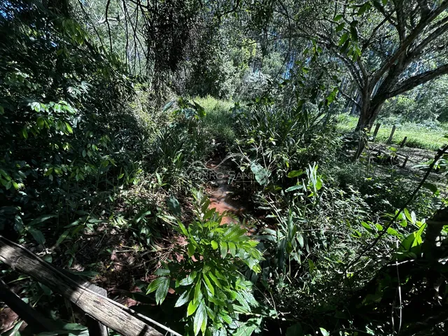 Área rural, foto 3