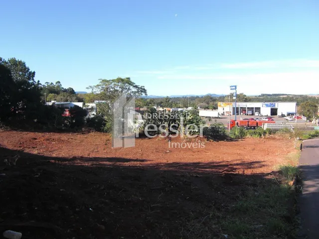 Terreno aberto com vegetação seca no Brasil.