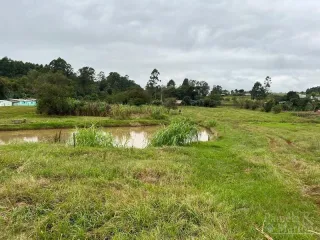 Terreno, foto 3