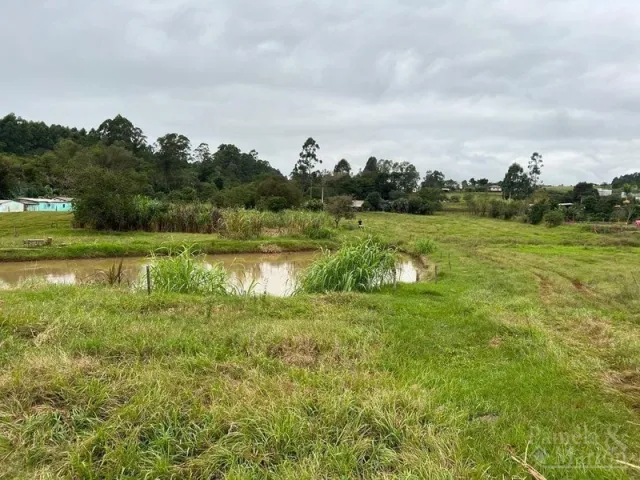 Terreno, foto 3
