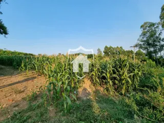 Área rural, foto 6