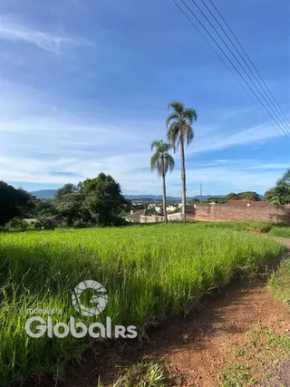 Campo de grama com palmeiras e vegetação ao fundo.