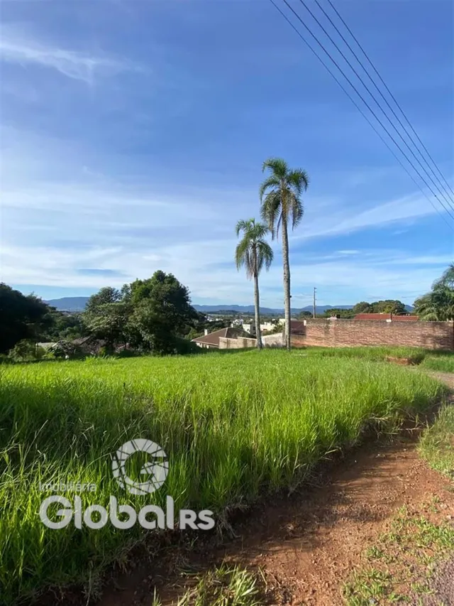 Campo de grama com palmeiras e vegetação ao fundo.