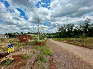 Vista de uma estrada de terra em uma área rural no Brasil.