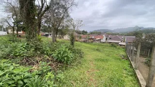 Vista externa mostrando vegetação densa e grama em uma propriedade em Lajeado.
