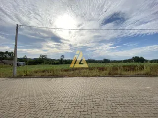 Terreno, foto 5