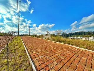 Terreno, foto 2
