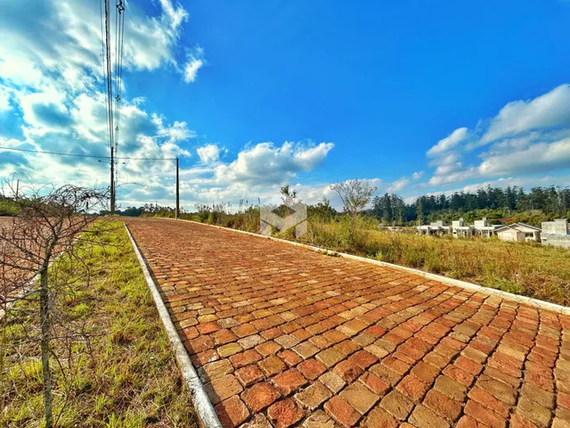 Terreno, foto 2