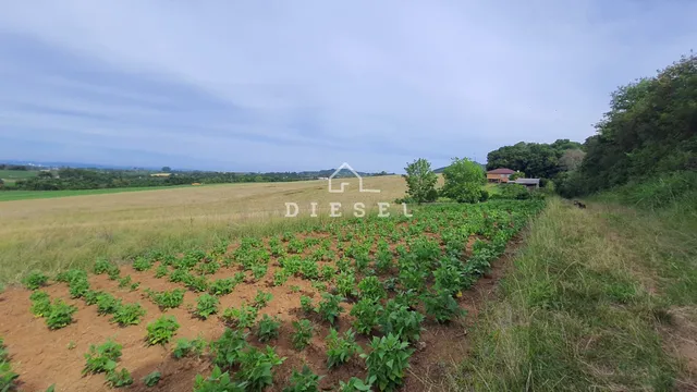 Área rural com 3 dormitórios, foto 2