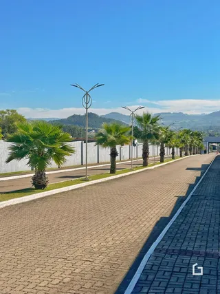 Vista da fachada de uma propriedade com palmeiras ao longo de uma rua.