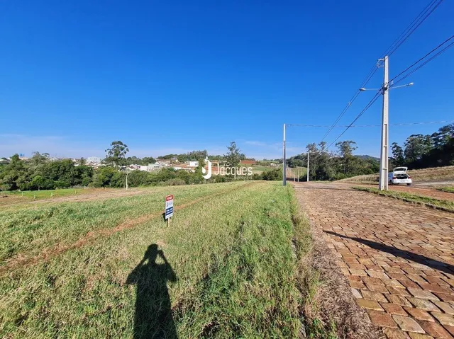 Campo aberto com grama alta e postes de energia ao fundo.
