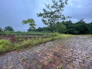 Terreno, foto 2