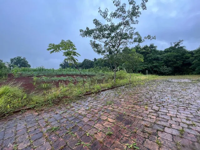 Terreno, foto 2