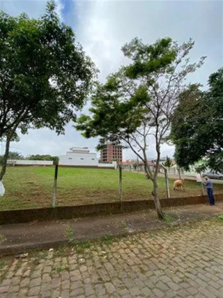 Terreno, foto 4