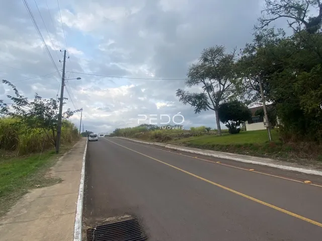 Vista da rua em Lajeado, Brasil com vegetação ao lado.