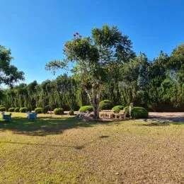 Casa com 5 dormitórios, foto 6