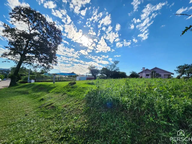 Terreno, foto 4