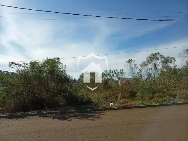 Terreno, foto 3