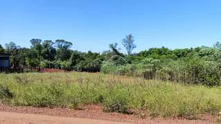 Vista de vegetação densa e terra vermelha em uma área externa em Lajeado.