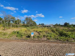 Terreno, foto 7