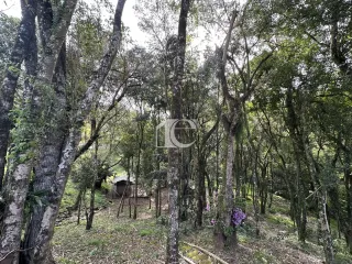 Área rural com 2 dormitórios, foto 19